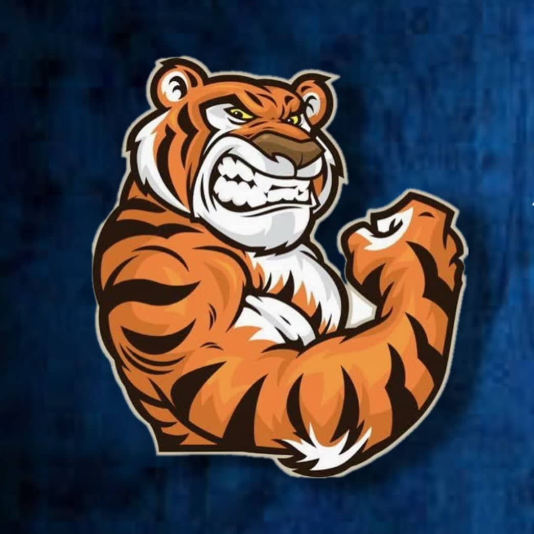 Tiger Fitness by Abhishek logo